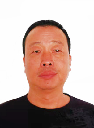 专家团队