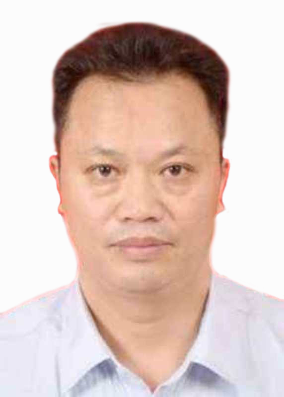 专家团队