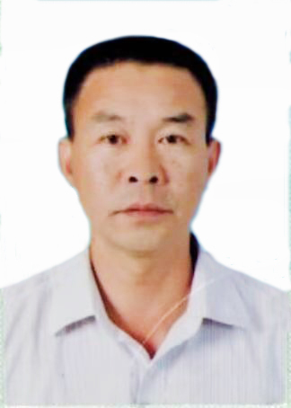 专家团队