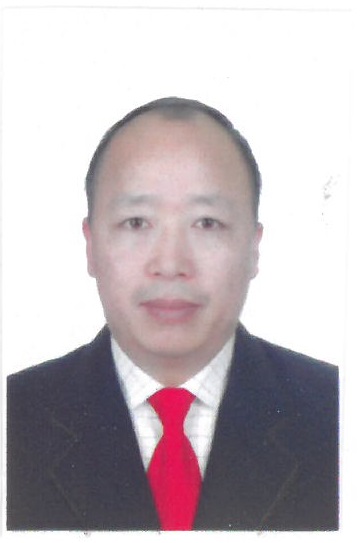 专家团队