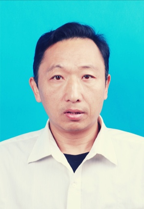 专家团队