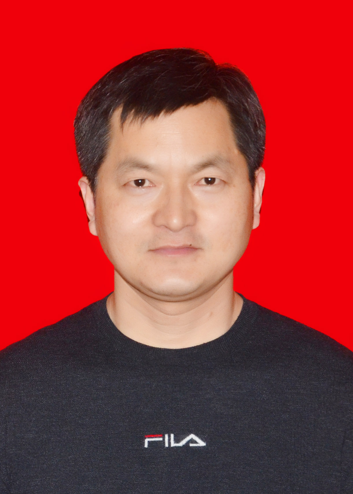 专家团队