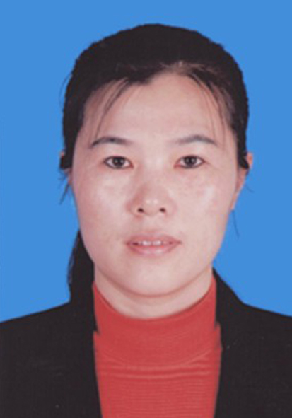 专家团队