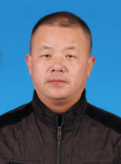 专家团队